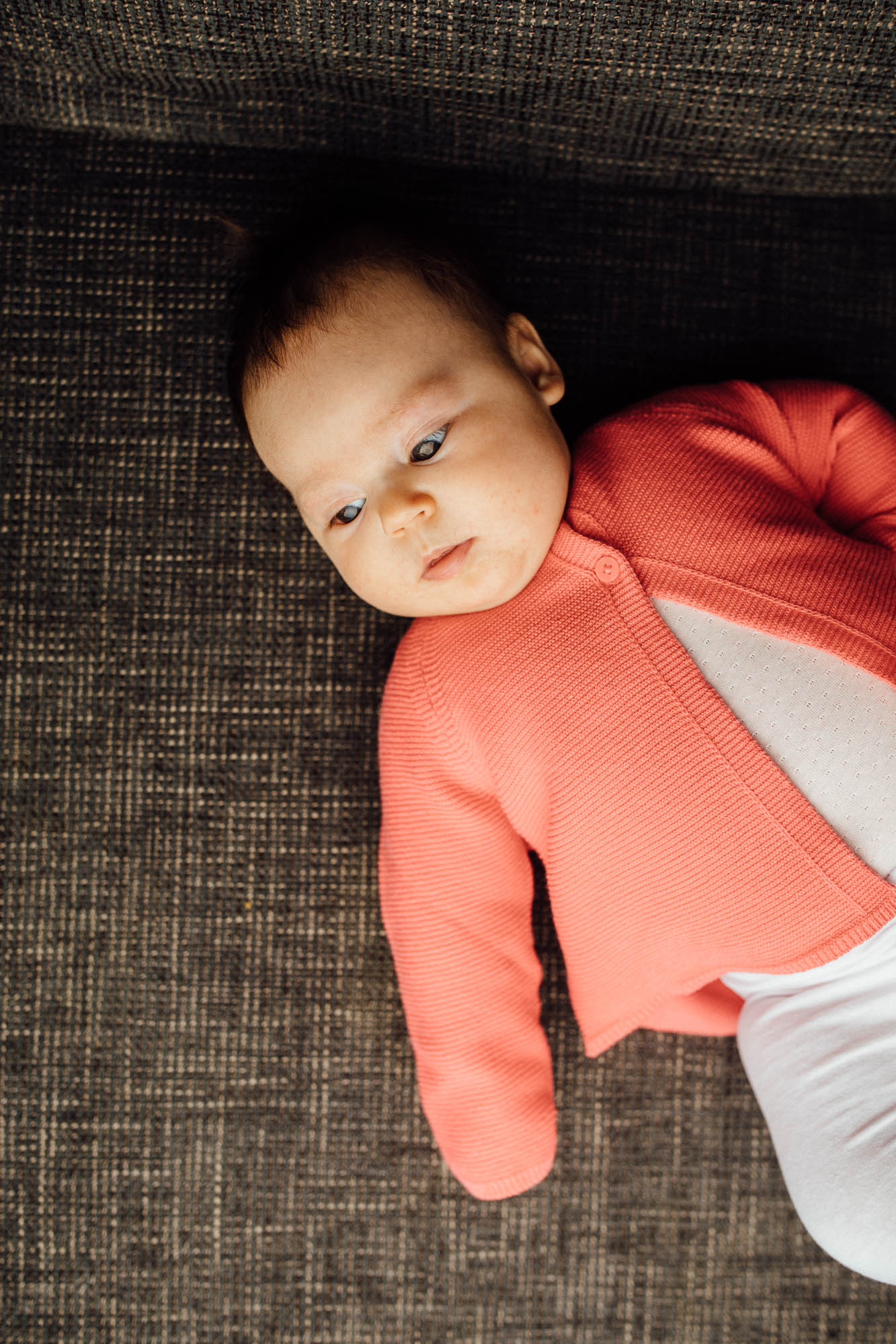 Export x3 5D4 0611 Familyfotoshooting 2020 Rossbach